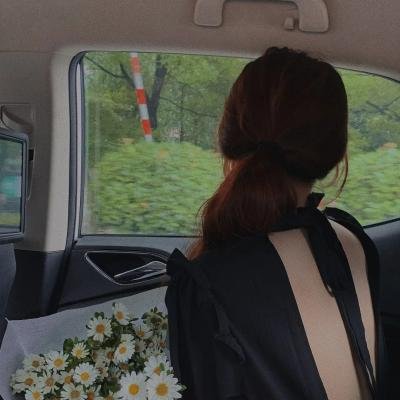 科摩多龙大战金刚巨蟒